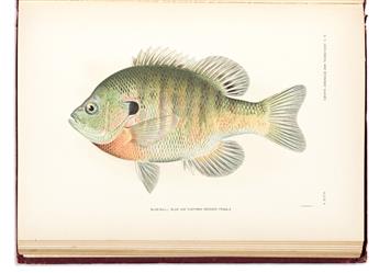 (FISHES.) Hugh M. Smith. The Fishes of North Carolina. (Volume II to the North Carolina Geological and Economic Survey Reports).